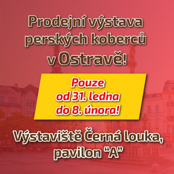 Vystava v Ostrave