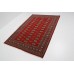 Oriental rug Bukhara Exclusive