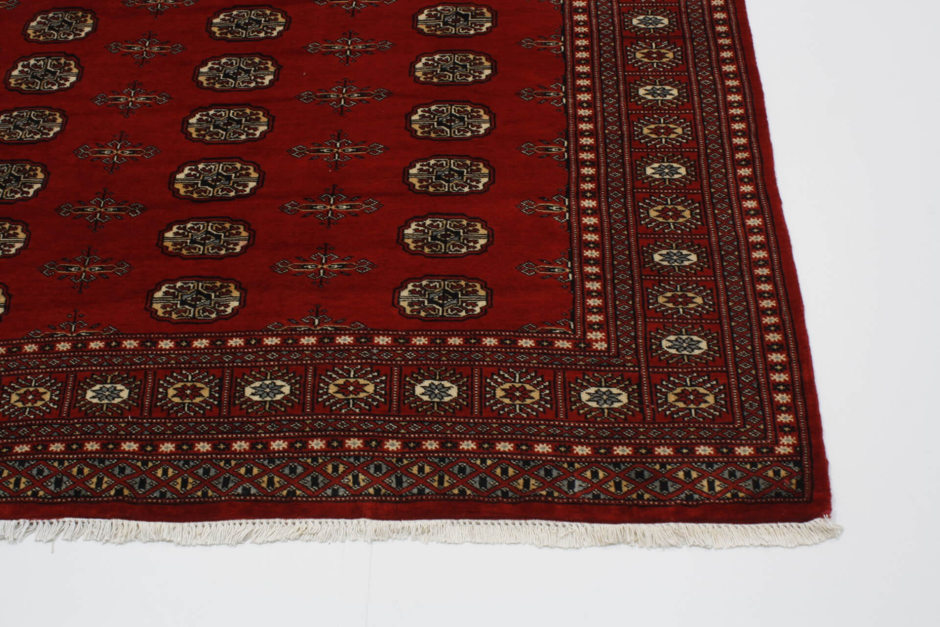 Oriental rug Bukhara Exclusive