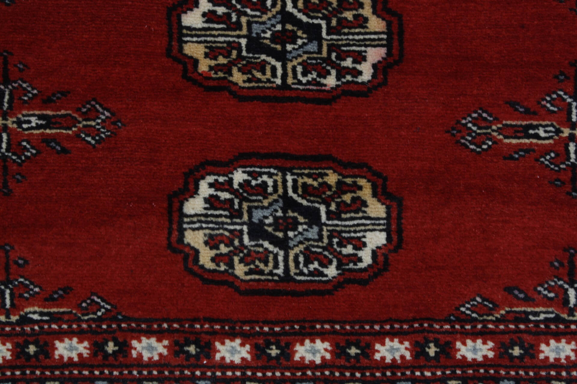 Oriental rug Bukhara Exclusive