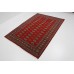 Oriental rug Bukhara Exclusive