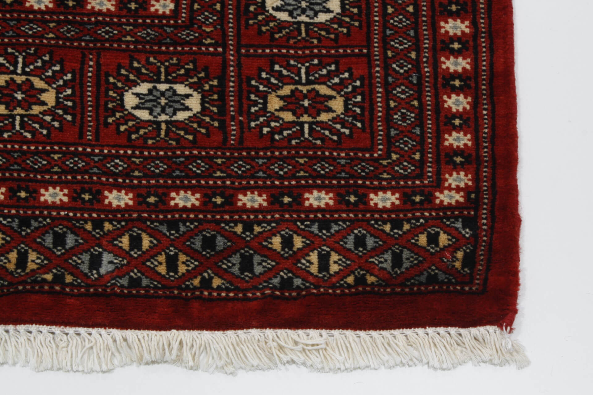 Oriental rug Bukhara Exclusive