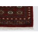 Oriental rug Bukhara Exclusive