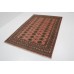 Oriental rug Bukhara Exclusive