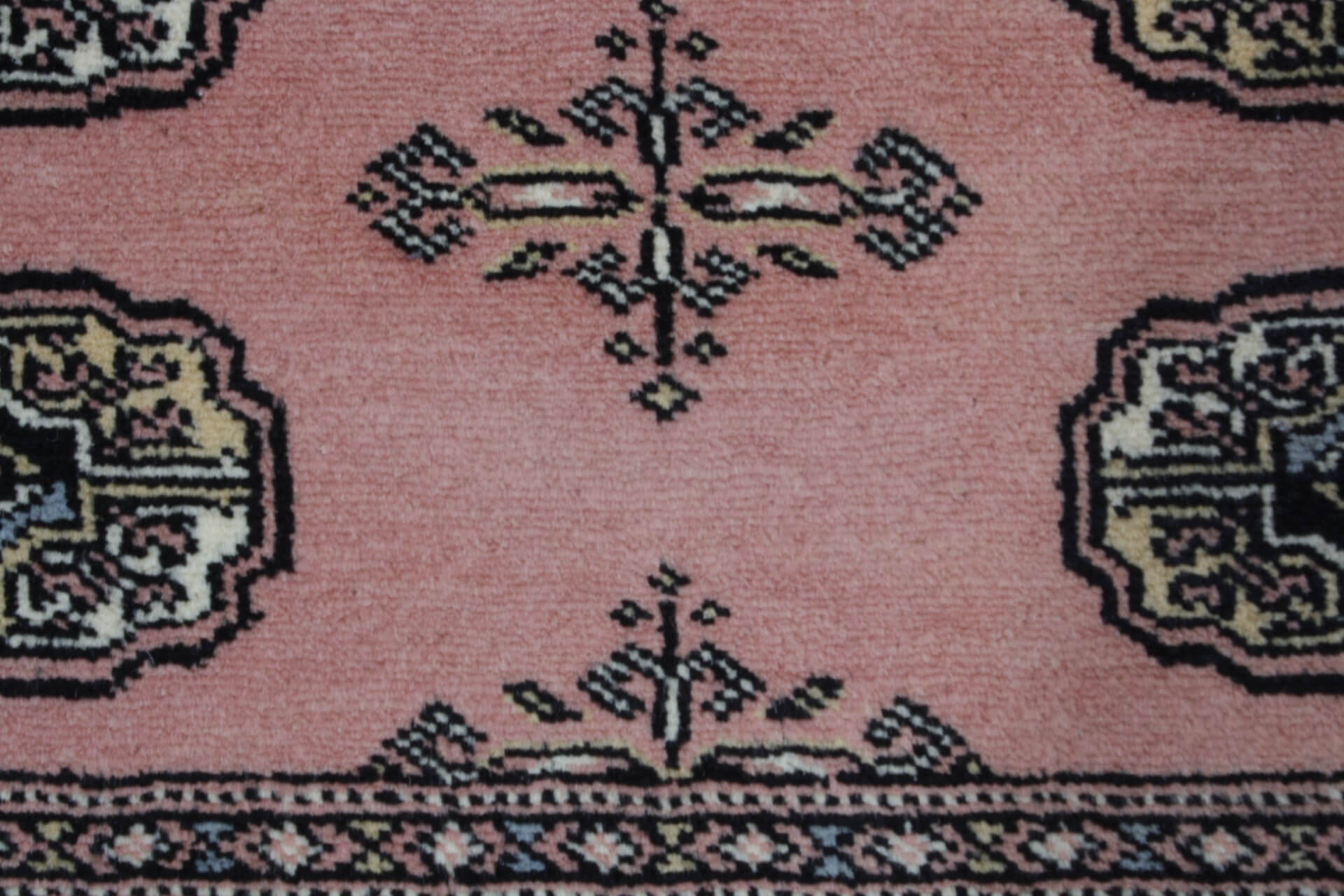 Oriental rug Bukhara Exclusive