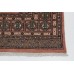 Oriental rug Bukhara Exclusive