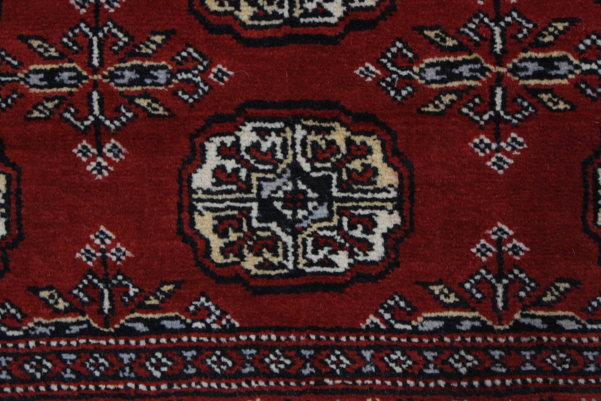 Oriental rug Bukhara Exclusive