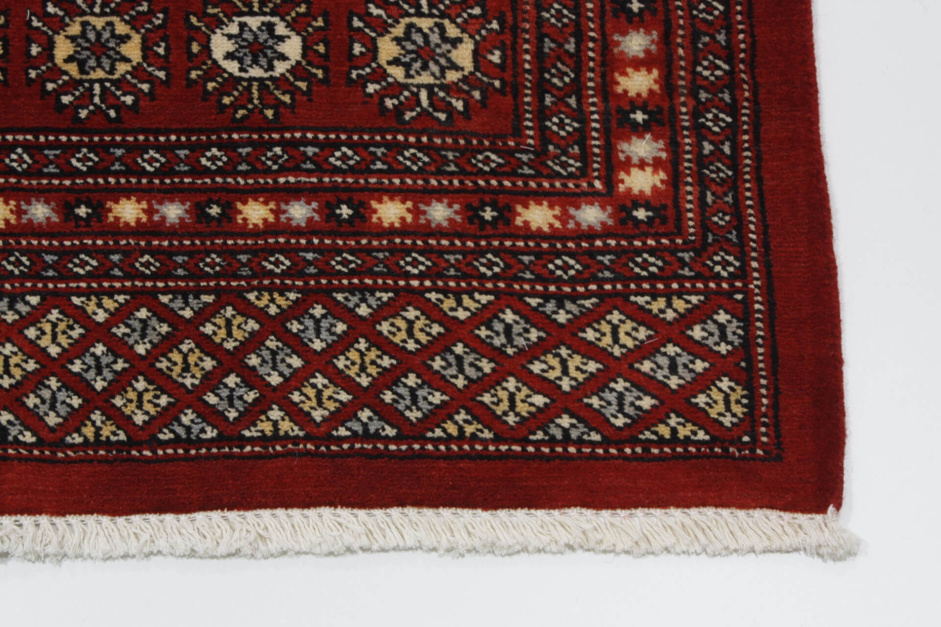 Oriental rug Bukhara Exclusive