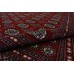 Oriental rug Bukhara Exclusive