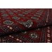 Oriental rug Bukhara Exclusive