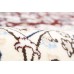 Persian rug Nain 6LA Royal
