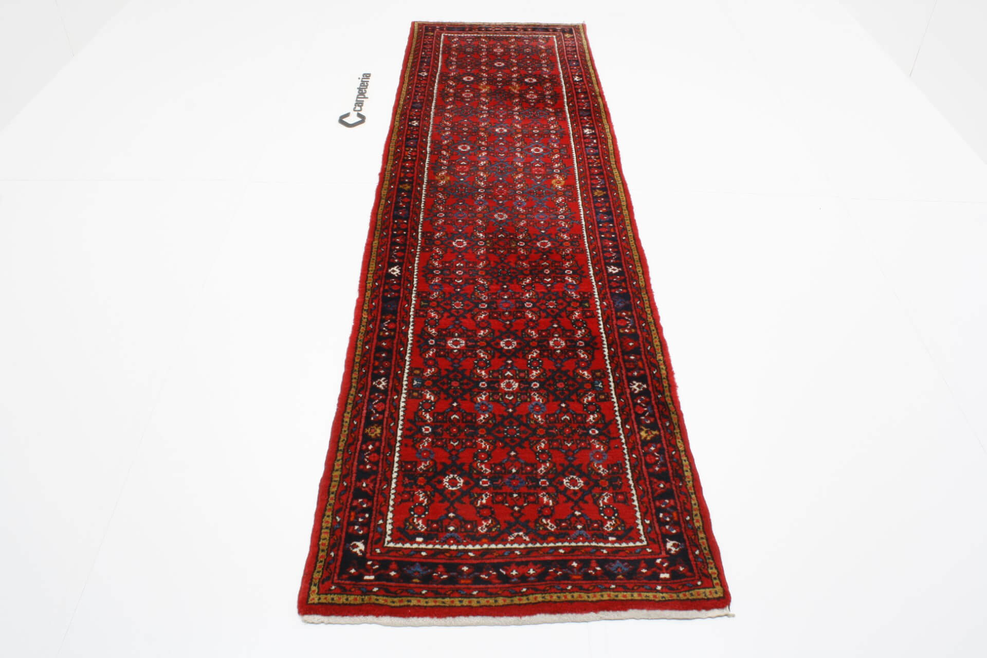 Persian rug Hamadan