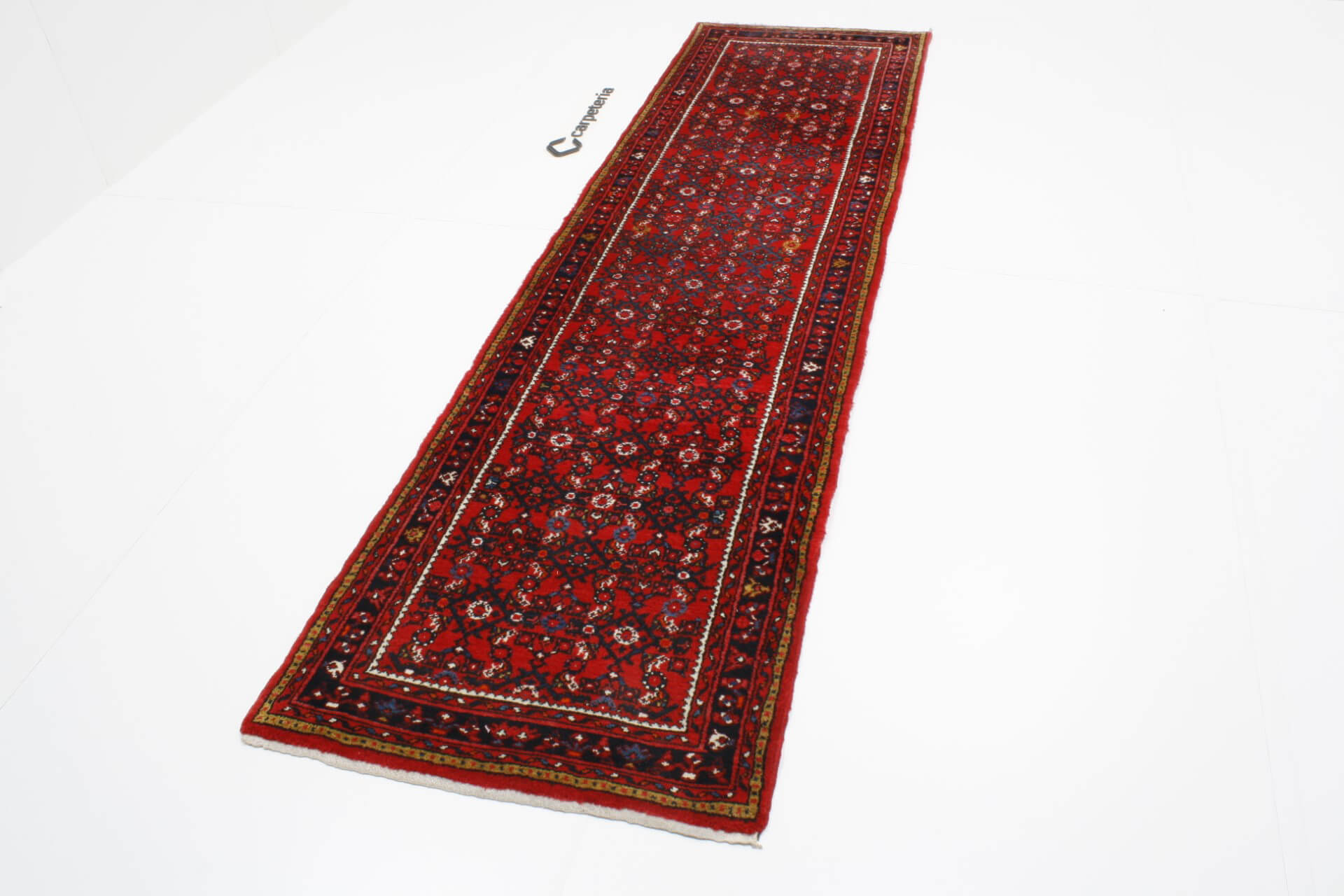 Persian rug Hamadan