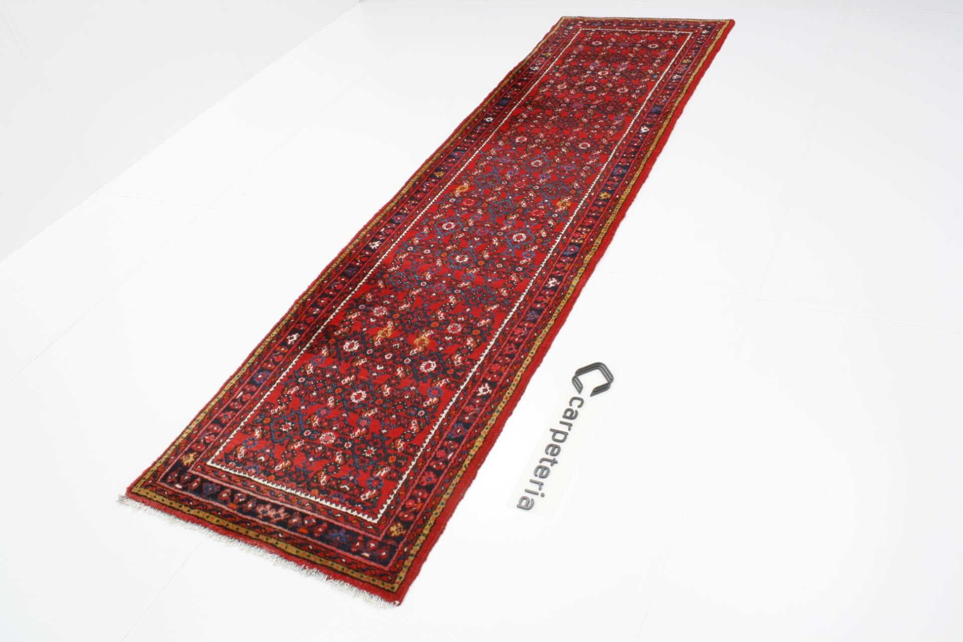 Persian rug Hamadan