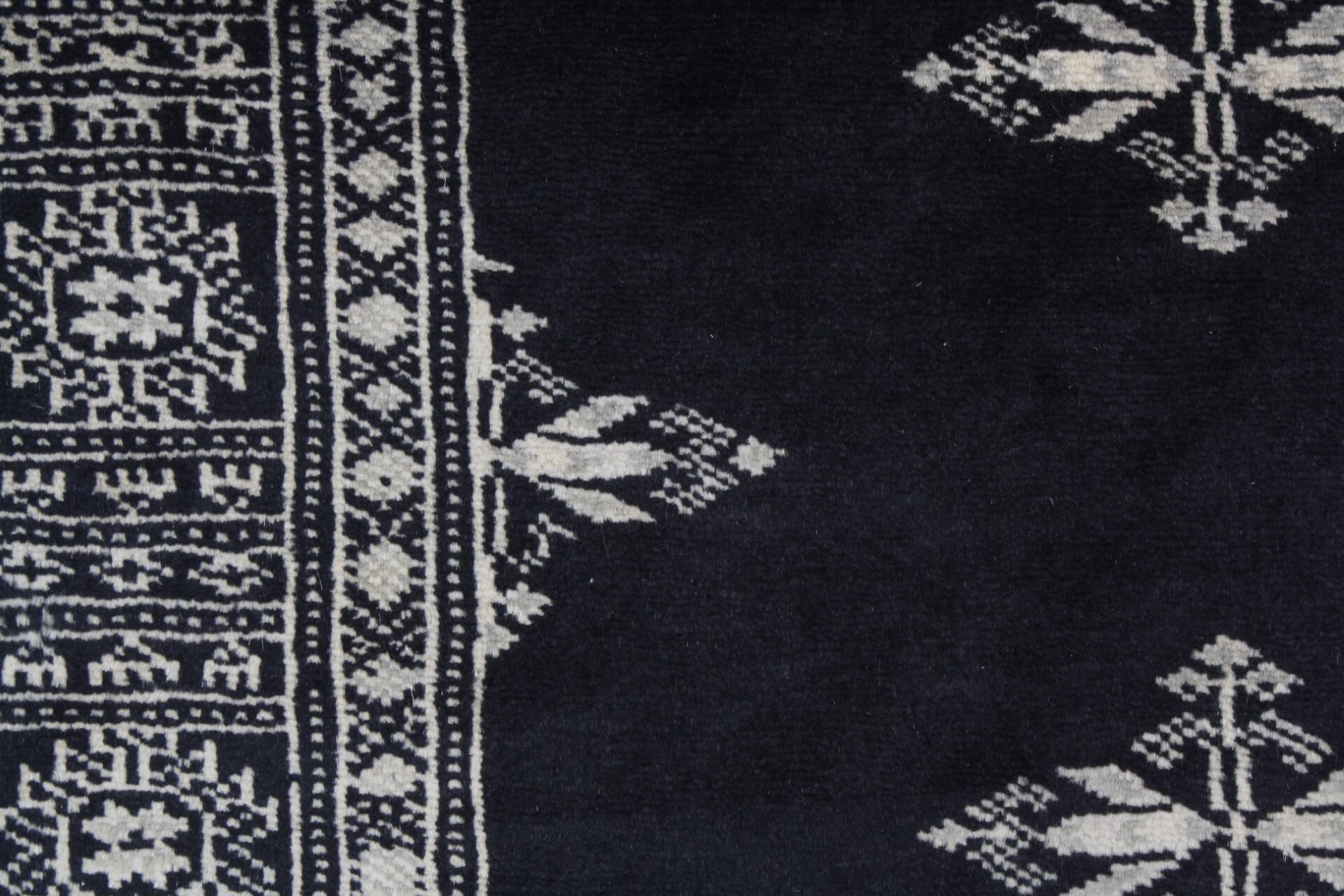 Oriental rug Bukhara Exclusive