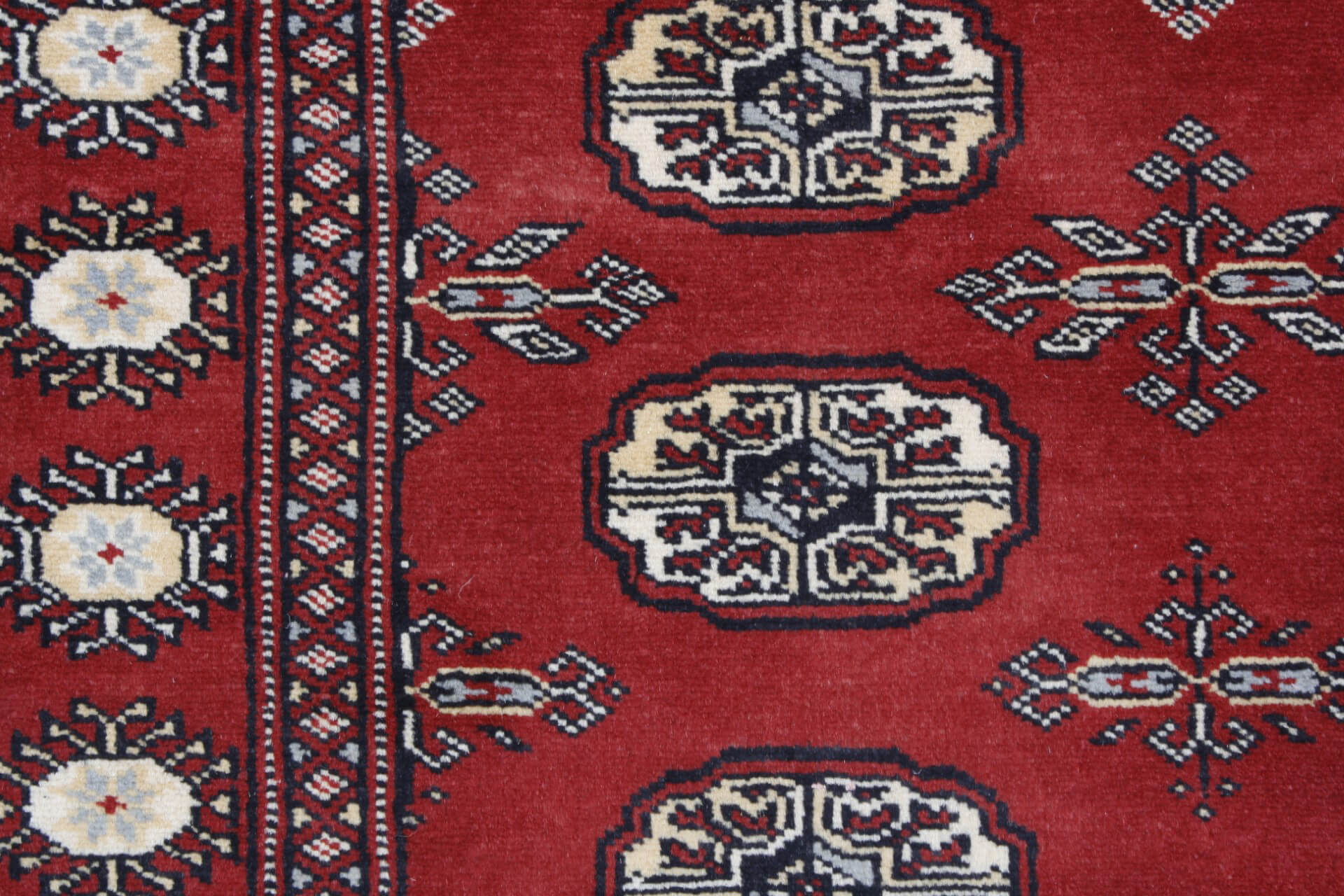 Oriental rug Bukhara Exclusive
