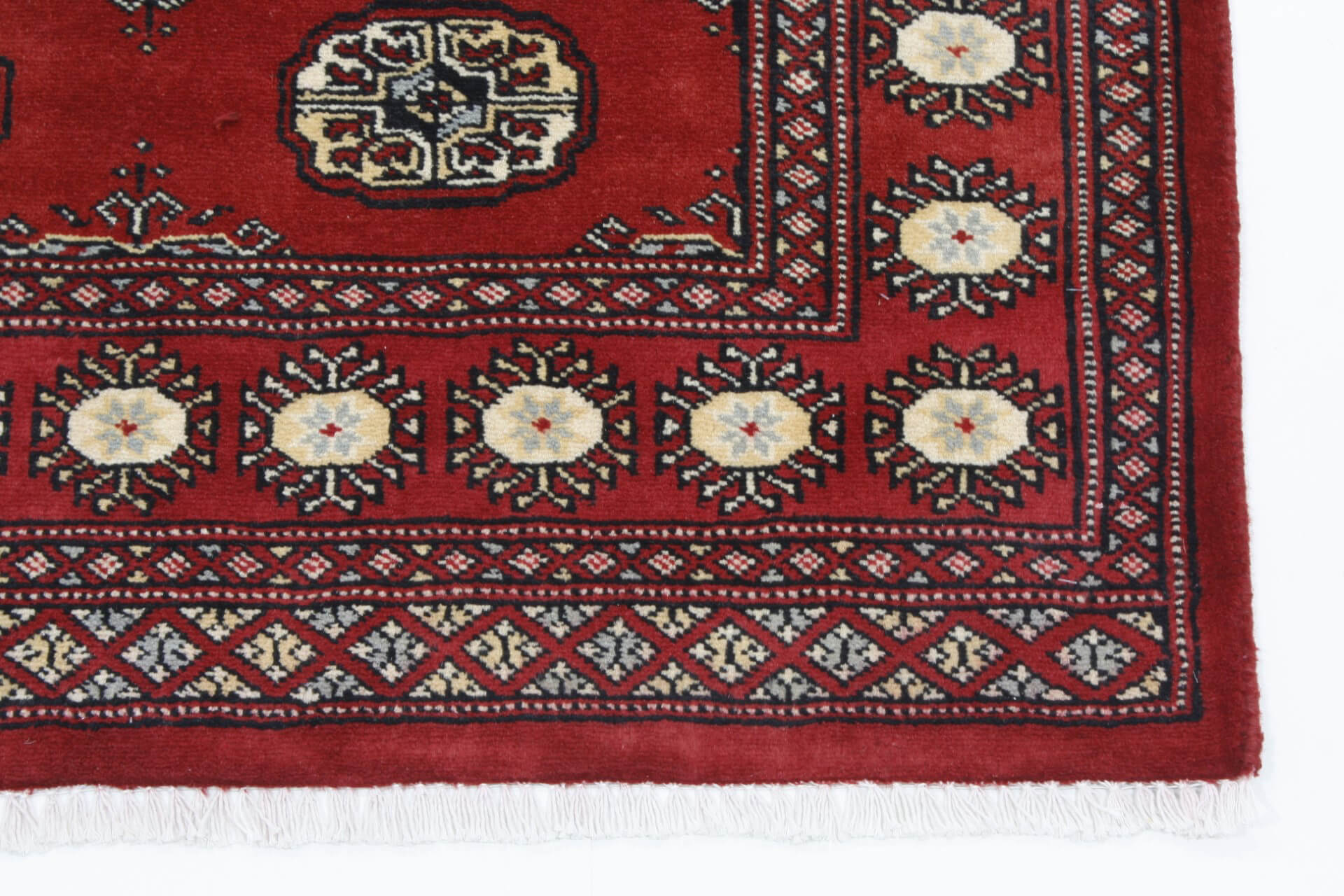 Oriental rug Bukhara Exclusive