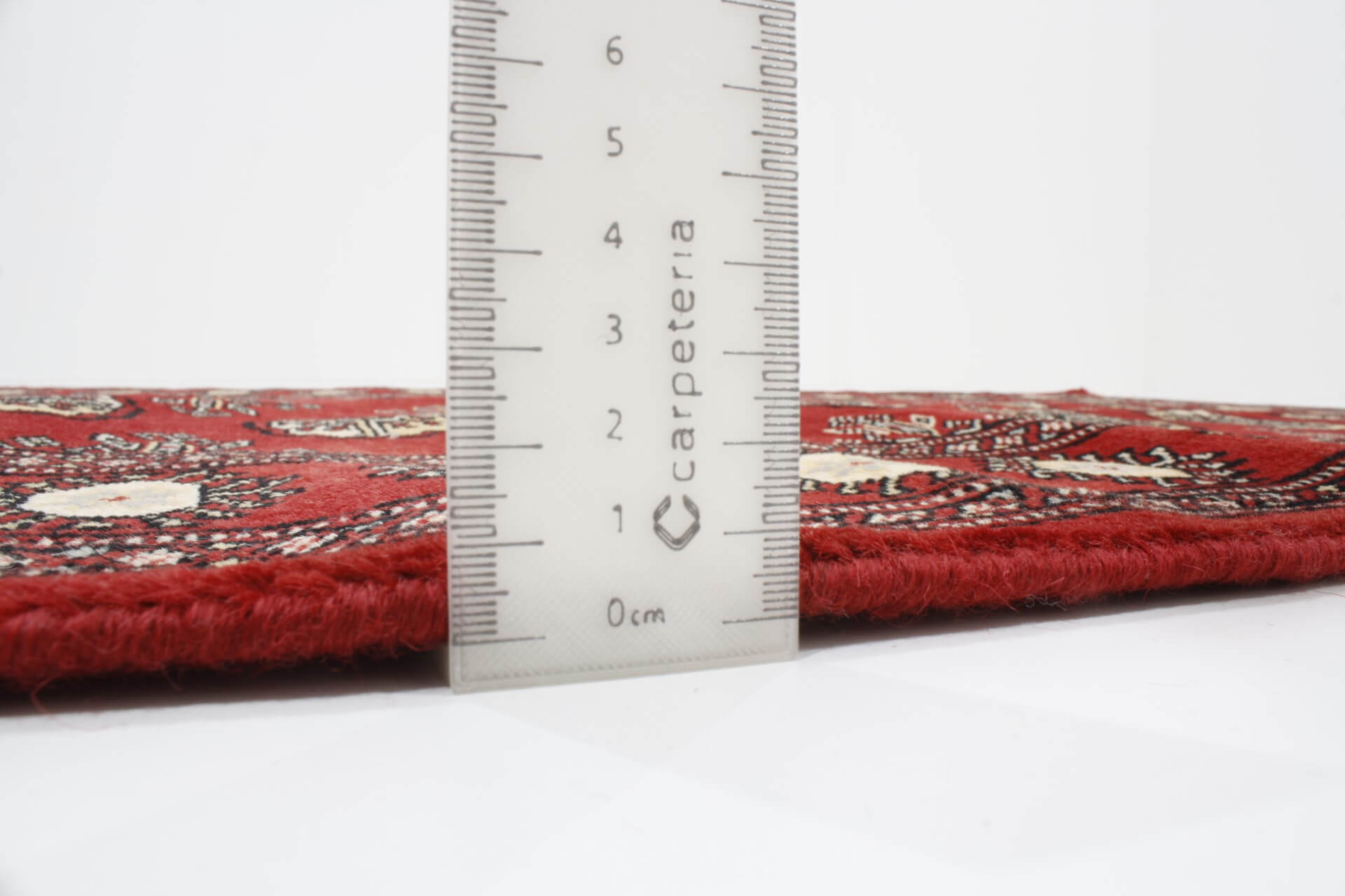 Oriental rug Bukhara Exclusive
