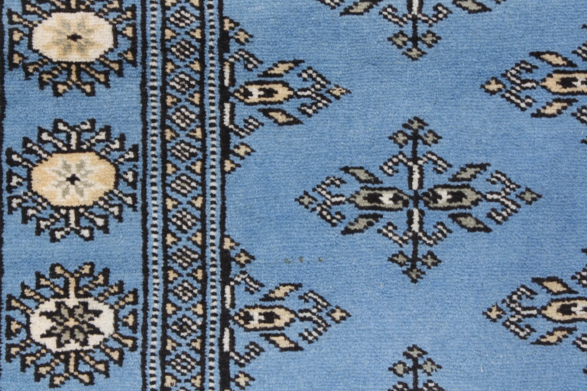 Oriental rug Bukhara Exclusive