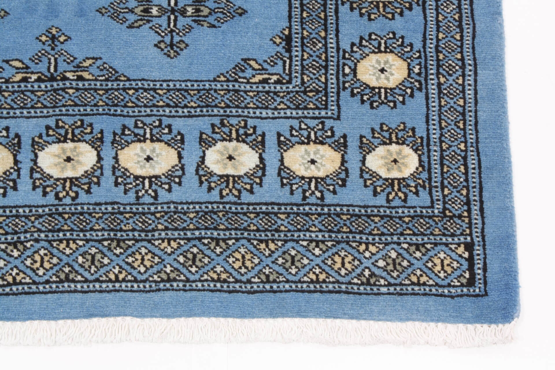 Oriental rug Bukhara Exclusive
