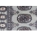 Oriental rug Bukhara Exclusive