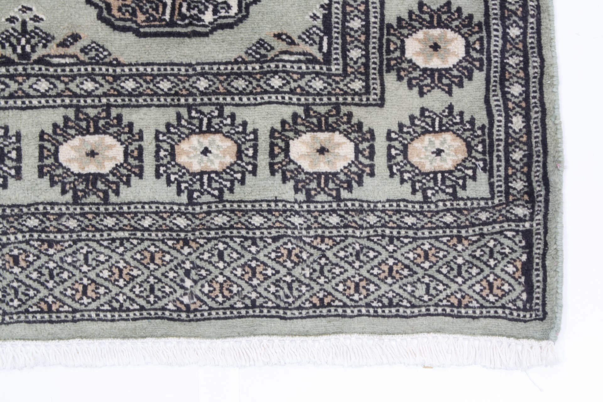 Oriental rug Bukhara Exclusive