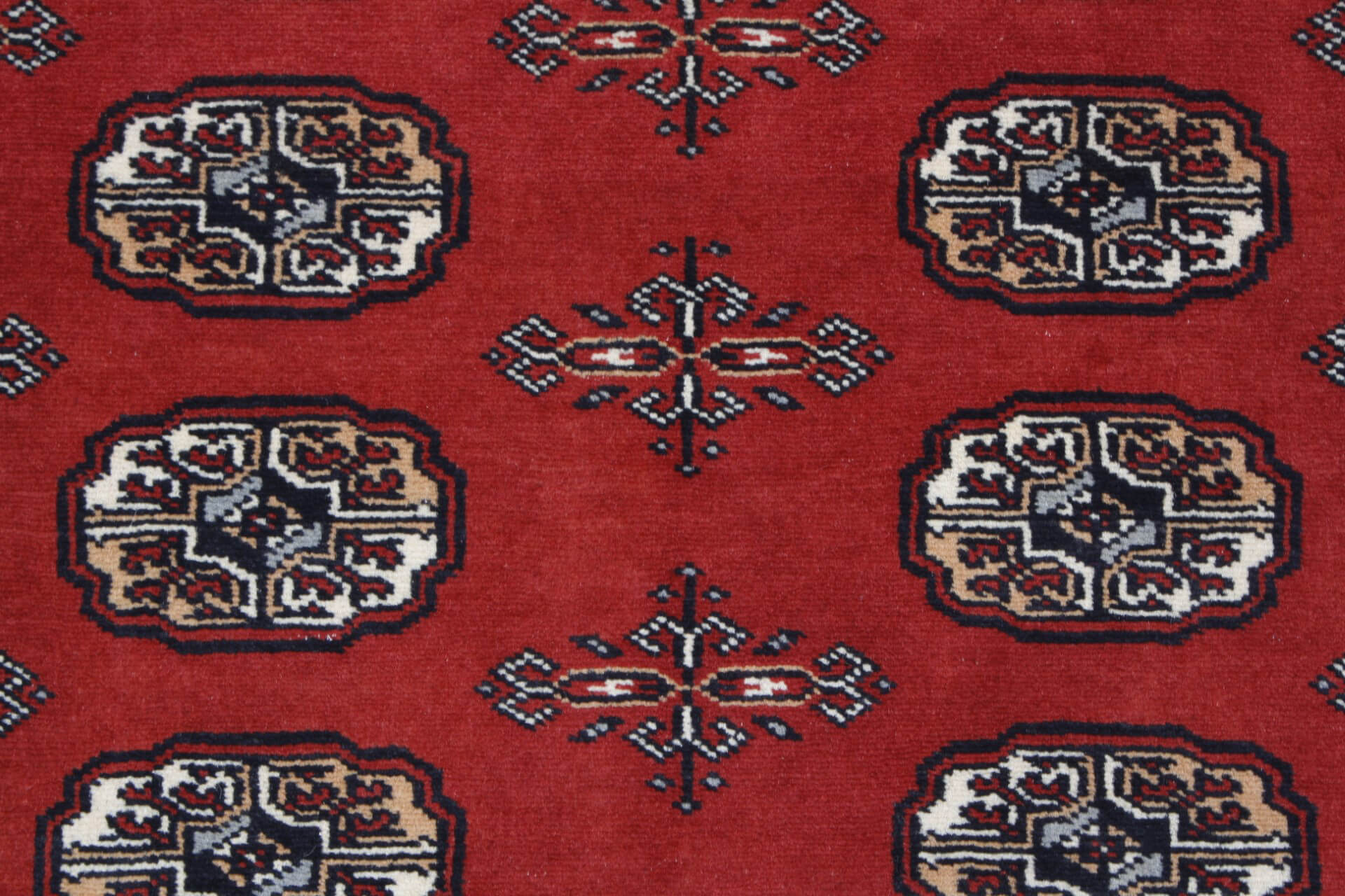 Oriental rug Bukhara Exclusive
