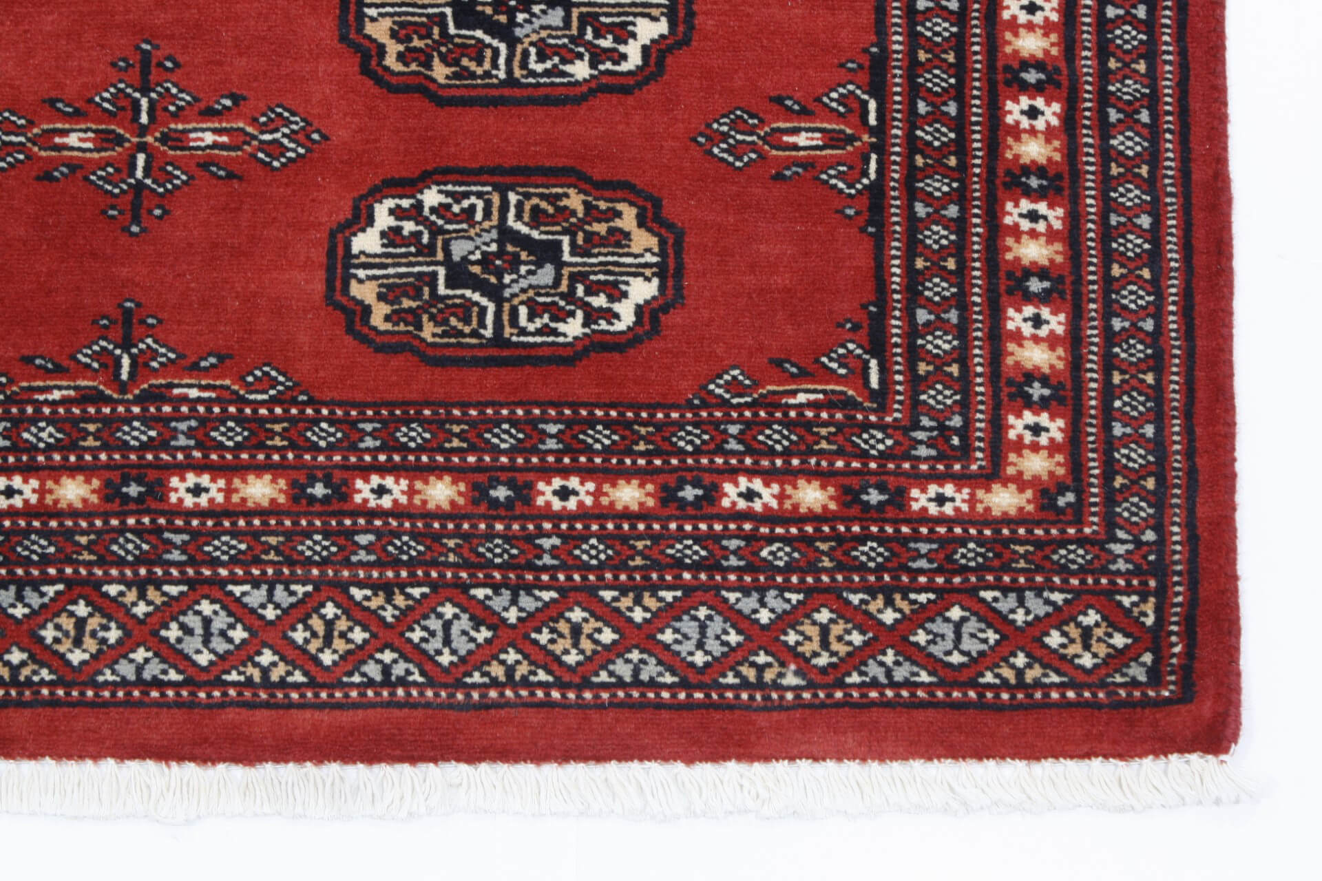 Oriental rug Bukhara Exclusive