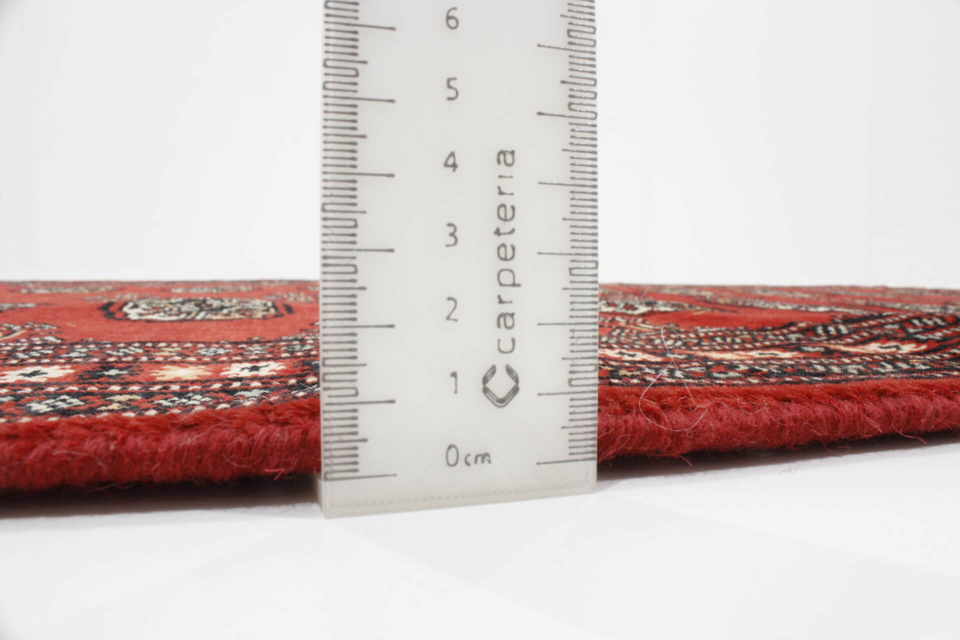 Oriental rug Bukhara Exclusive