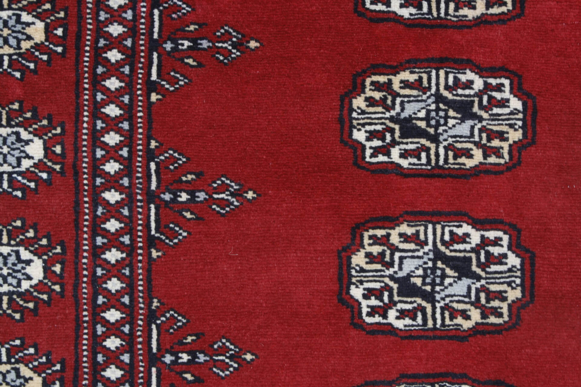 Oriental rug Bukhara Exclusive