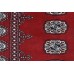 Oriental rug Bukhara Exclusive