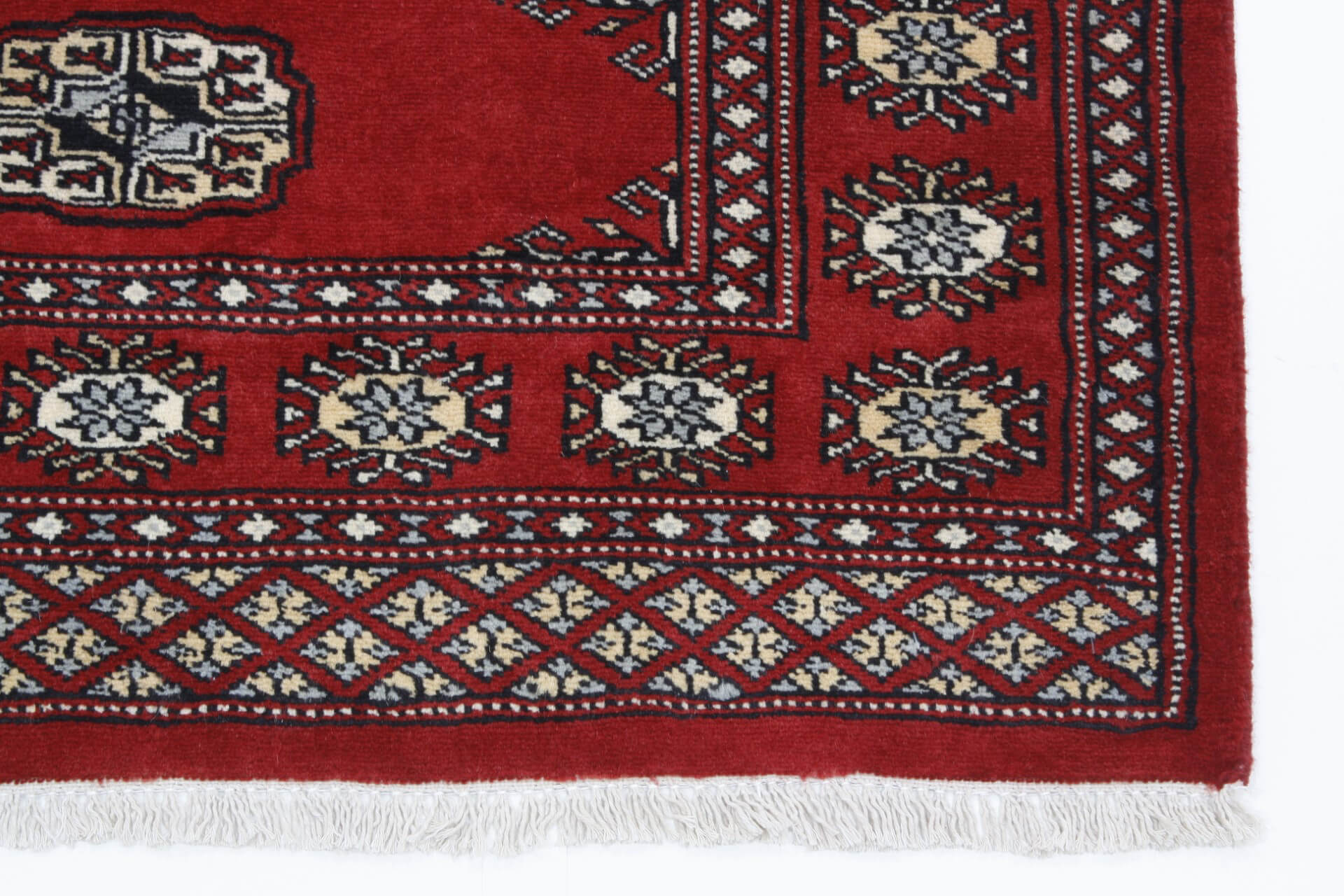 Oriental rug Bukhara Exclusive
