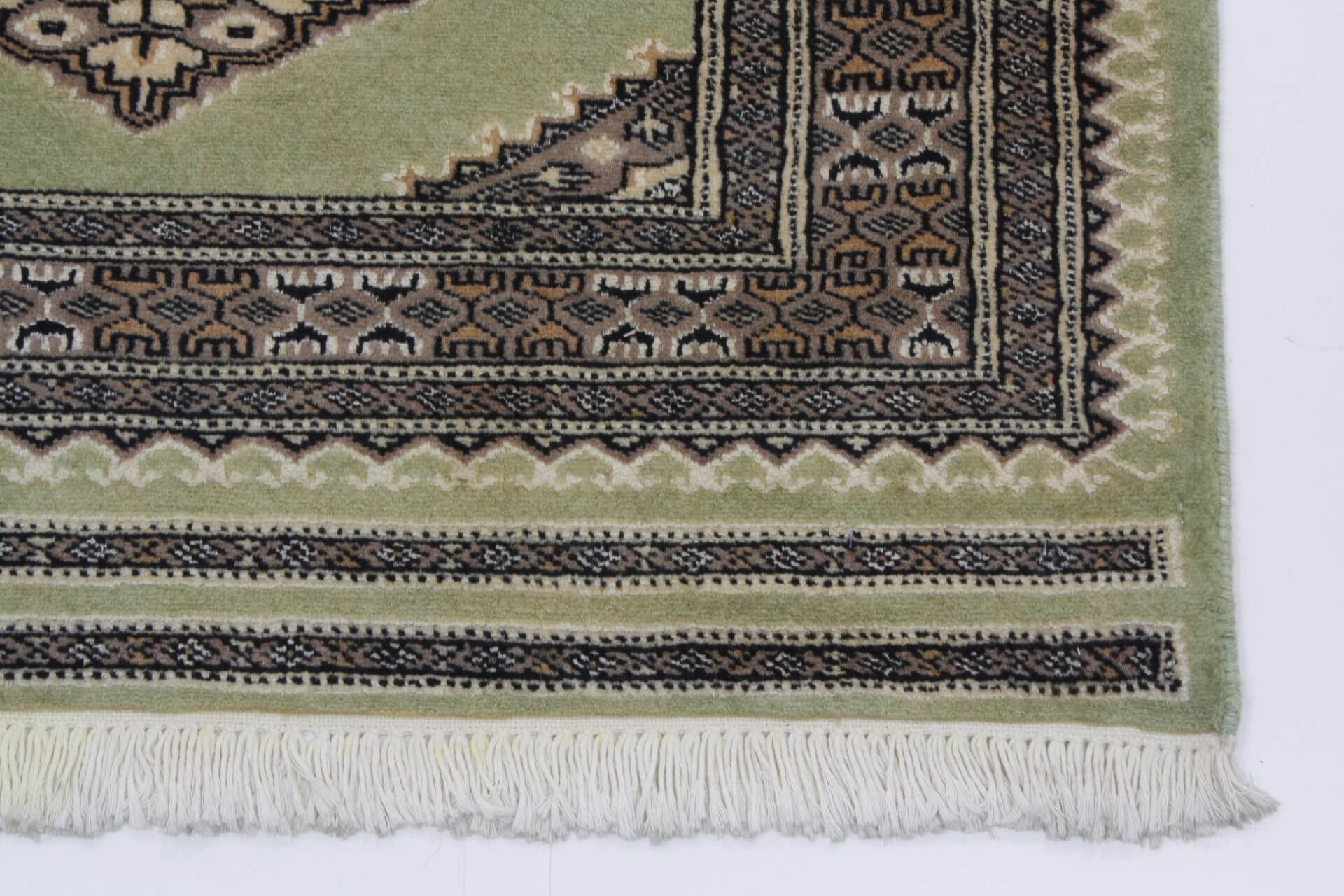 Oriental rug Jaldar Exclusive