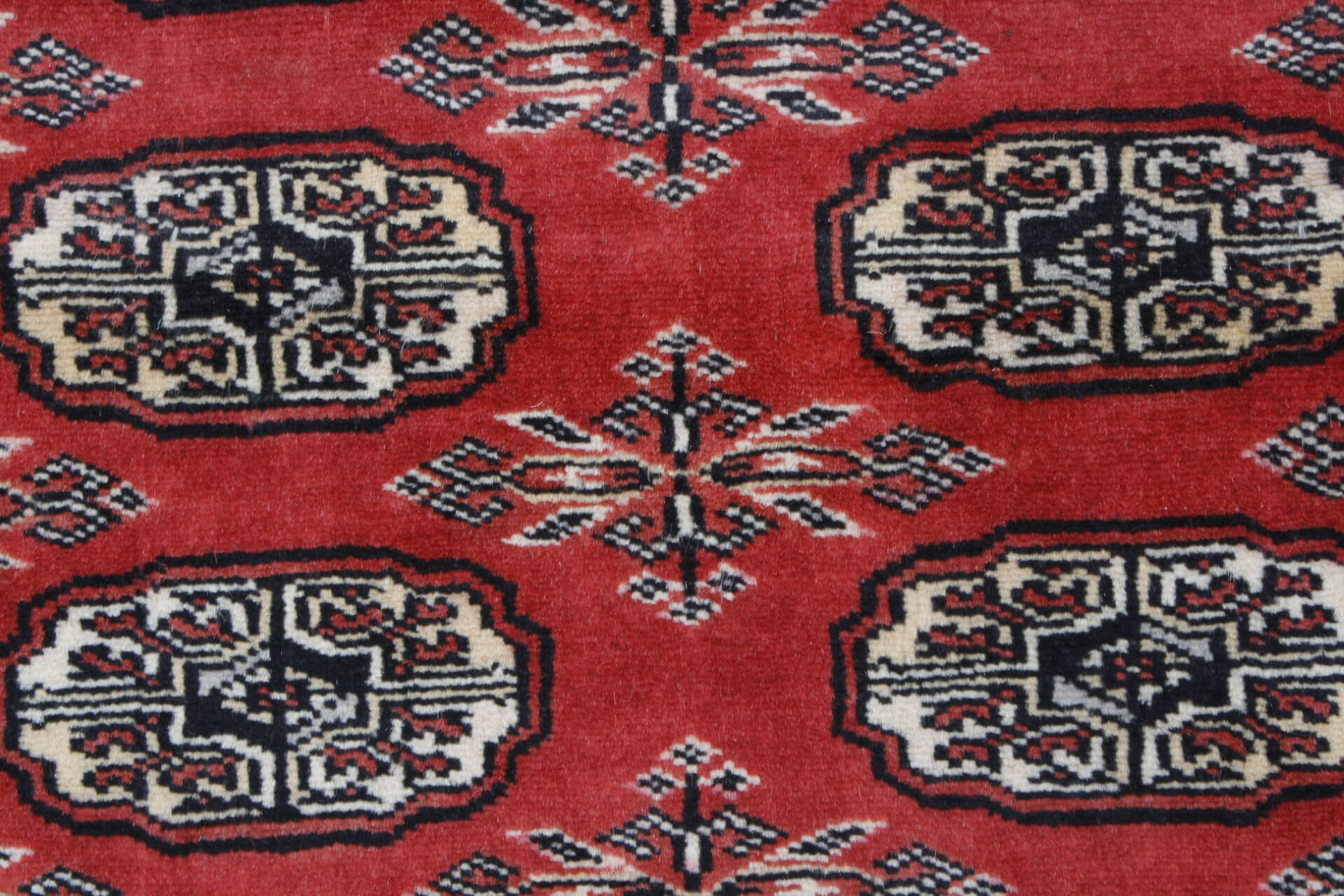 Oriental rug Bukhara Exclusive