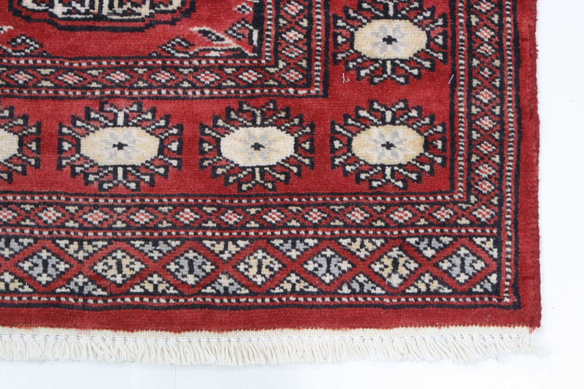Oriental rug Bukhara Exclusive