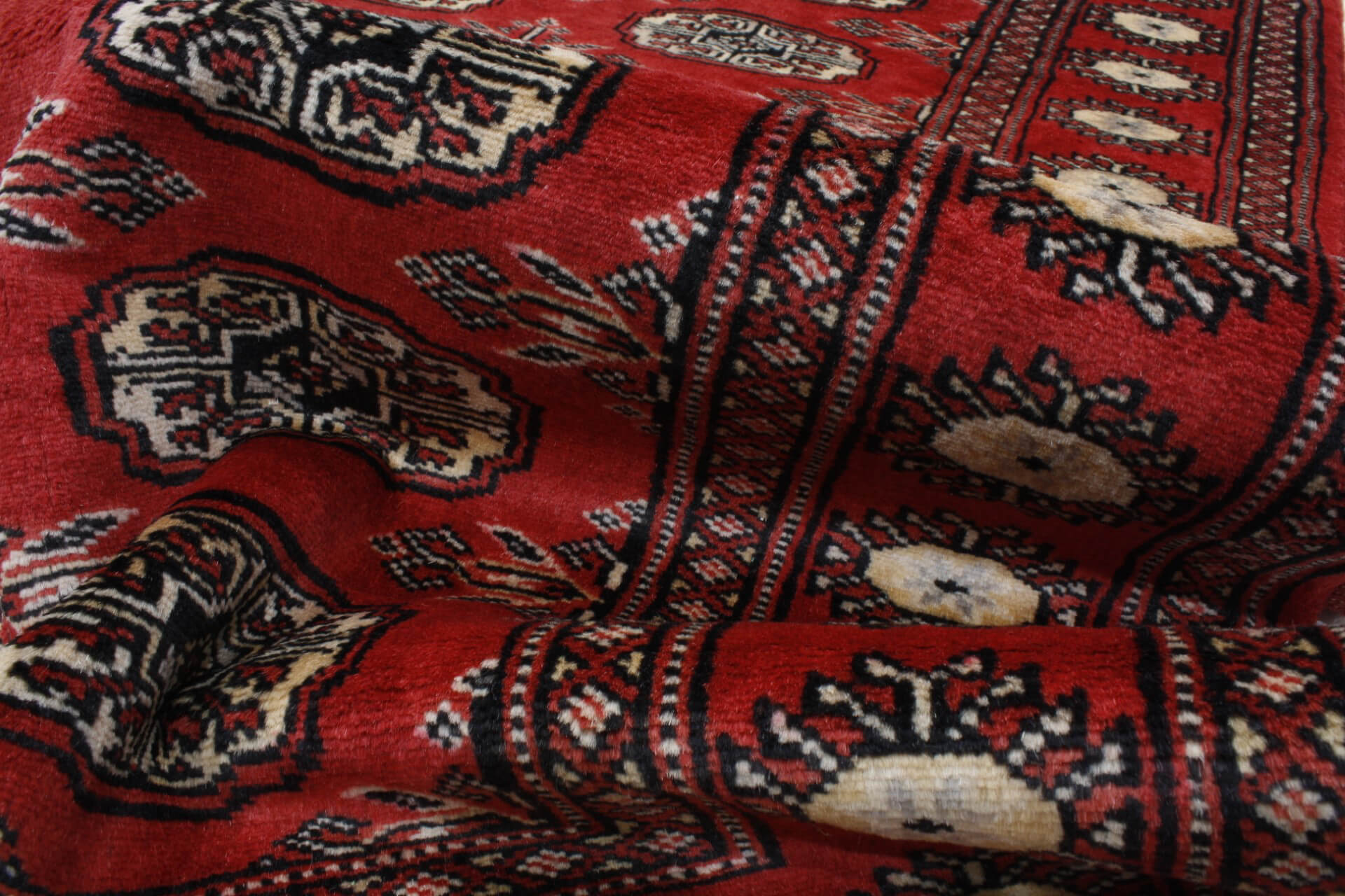 Oriental rug Bukhara Exclusive