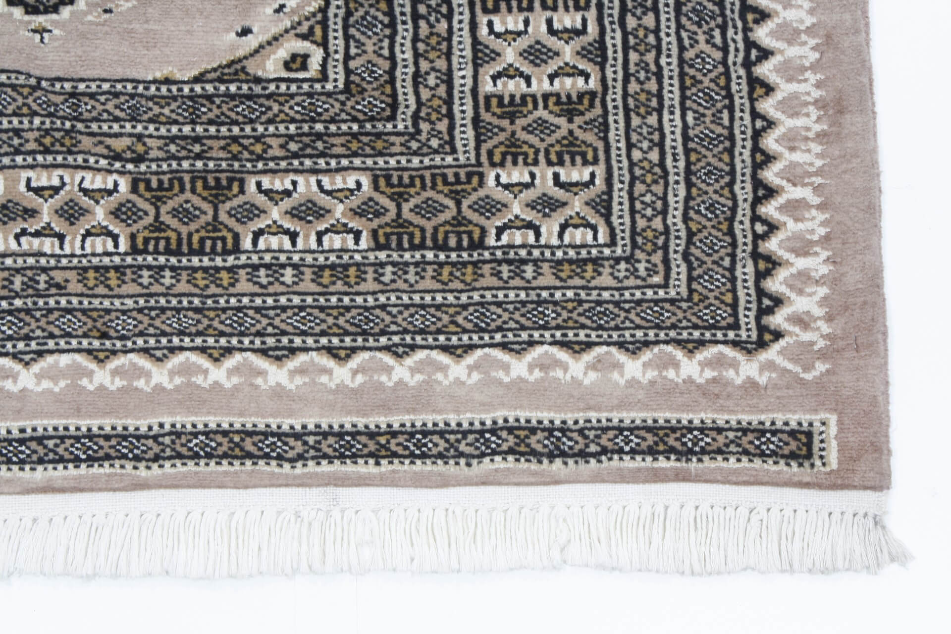Oriental rug Jaldar Premium