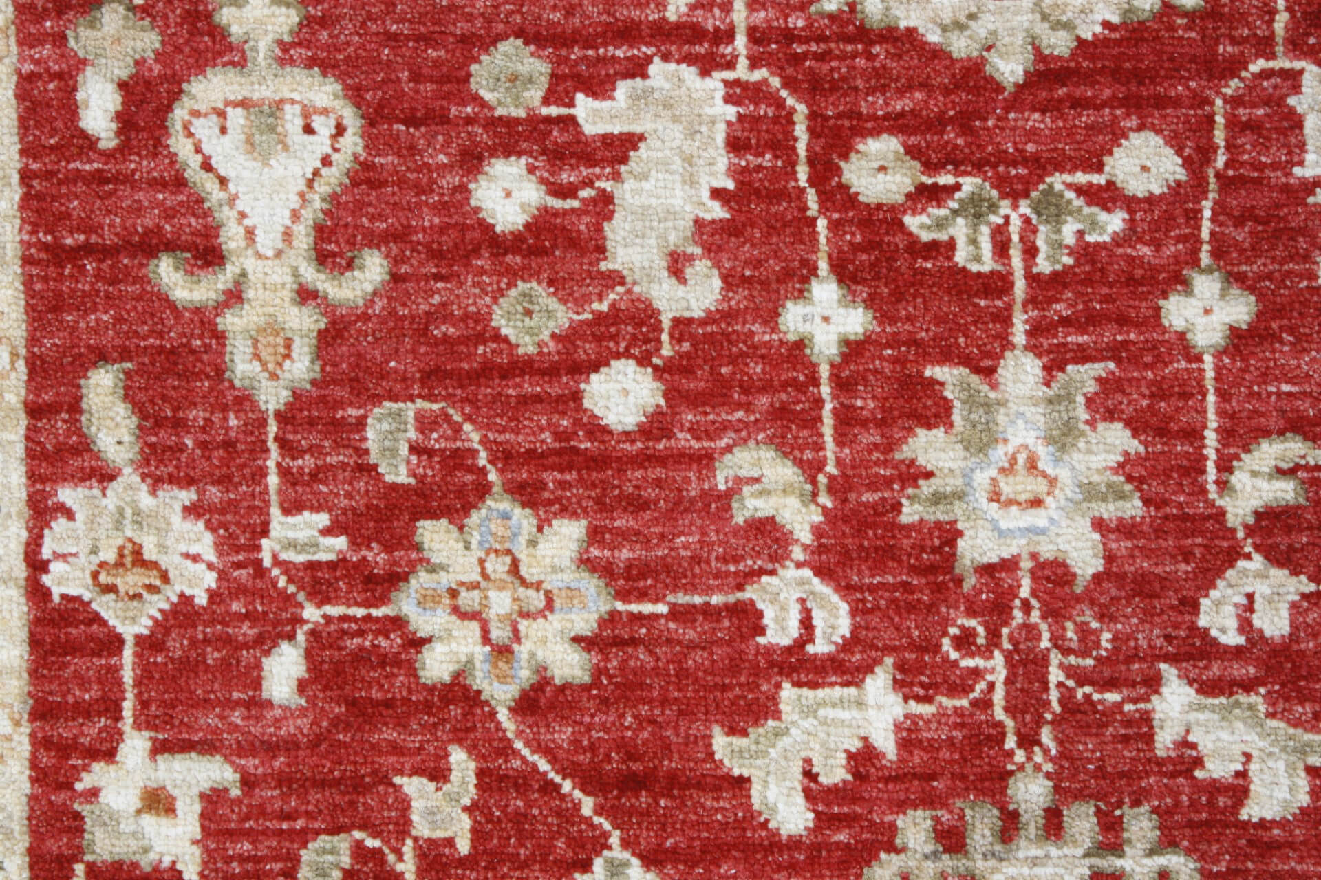 Oriental rug Ziegler Exclusive