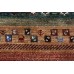 Oriental rug Ariana Exkluziv