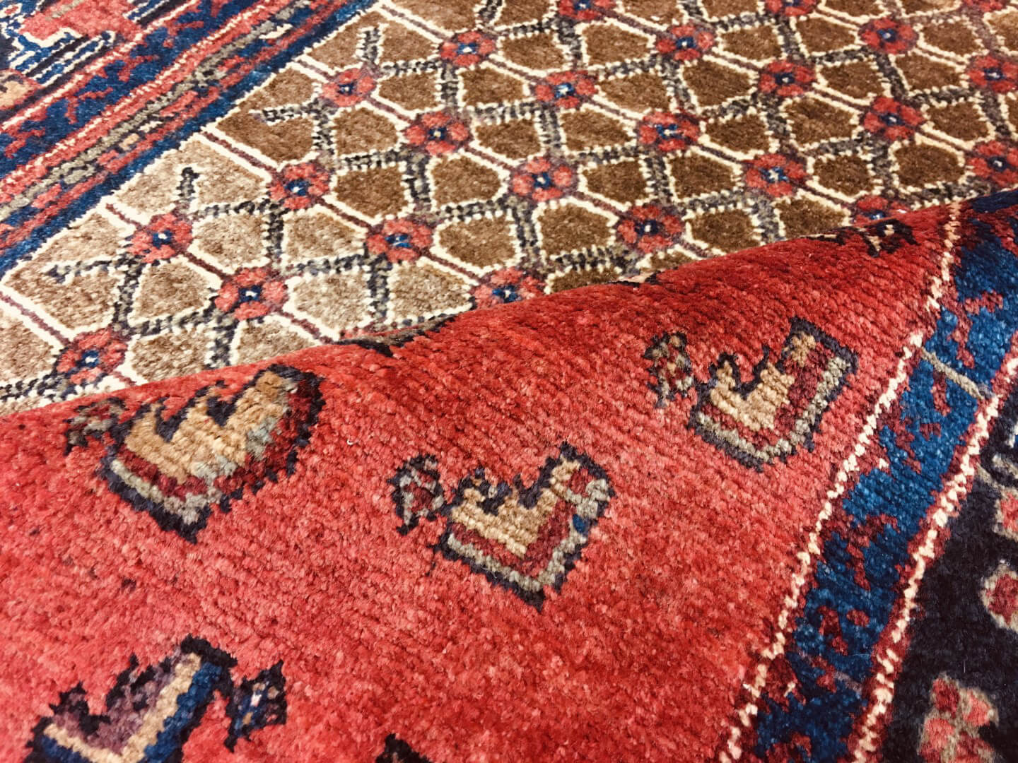 Perský koberec Kolyai Super