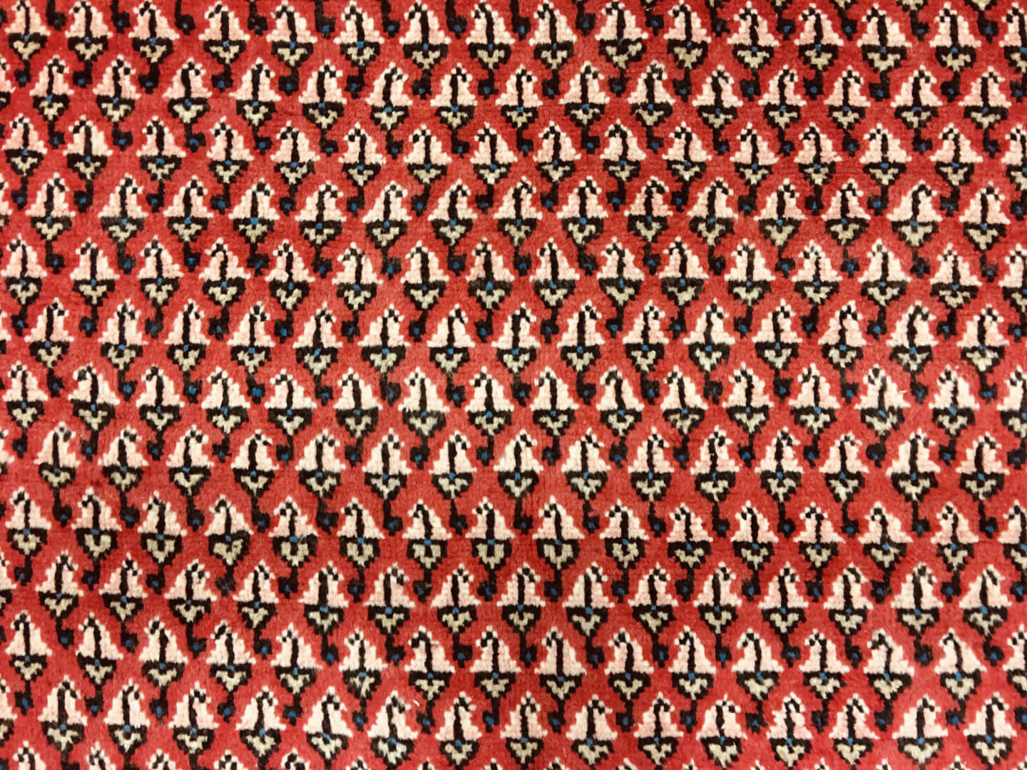 Persian rug Sarough Mir Super
