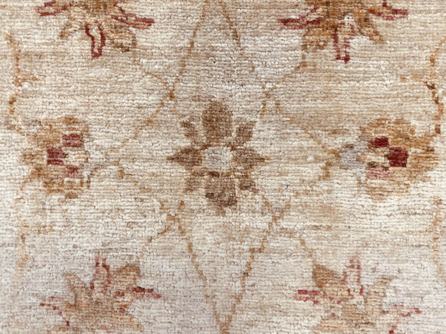 Oriental rug Ziegler Premium