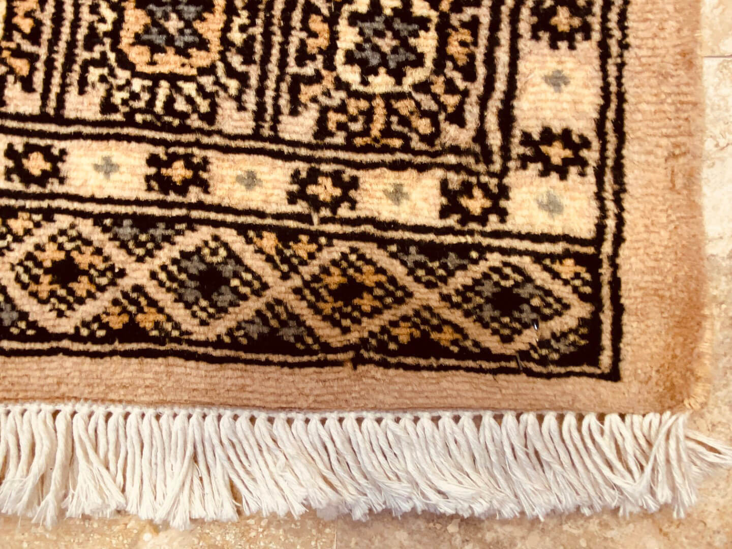 Oriental rug Bukhara Premium