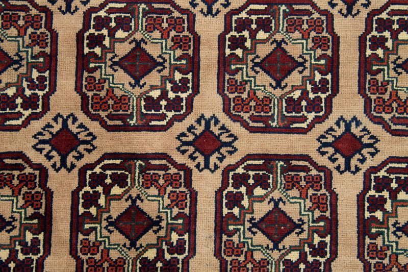 Oriental rug Soleiman Parda