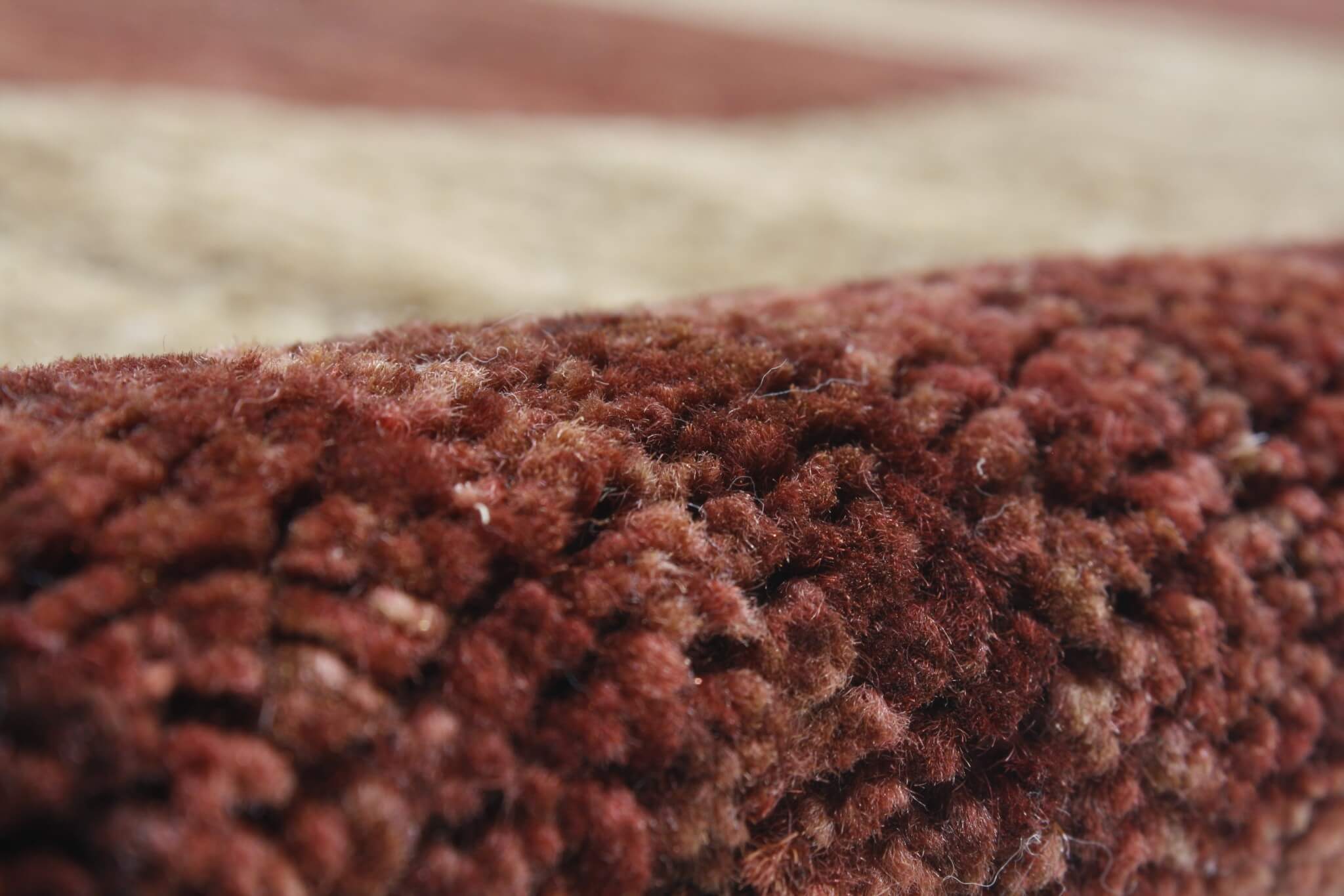 Oriental rug Ziegler Modern Exkluziv