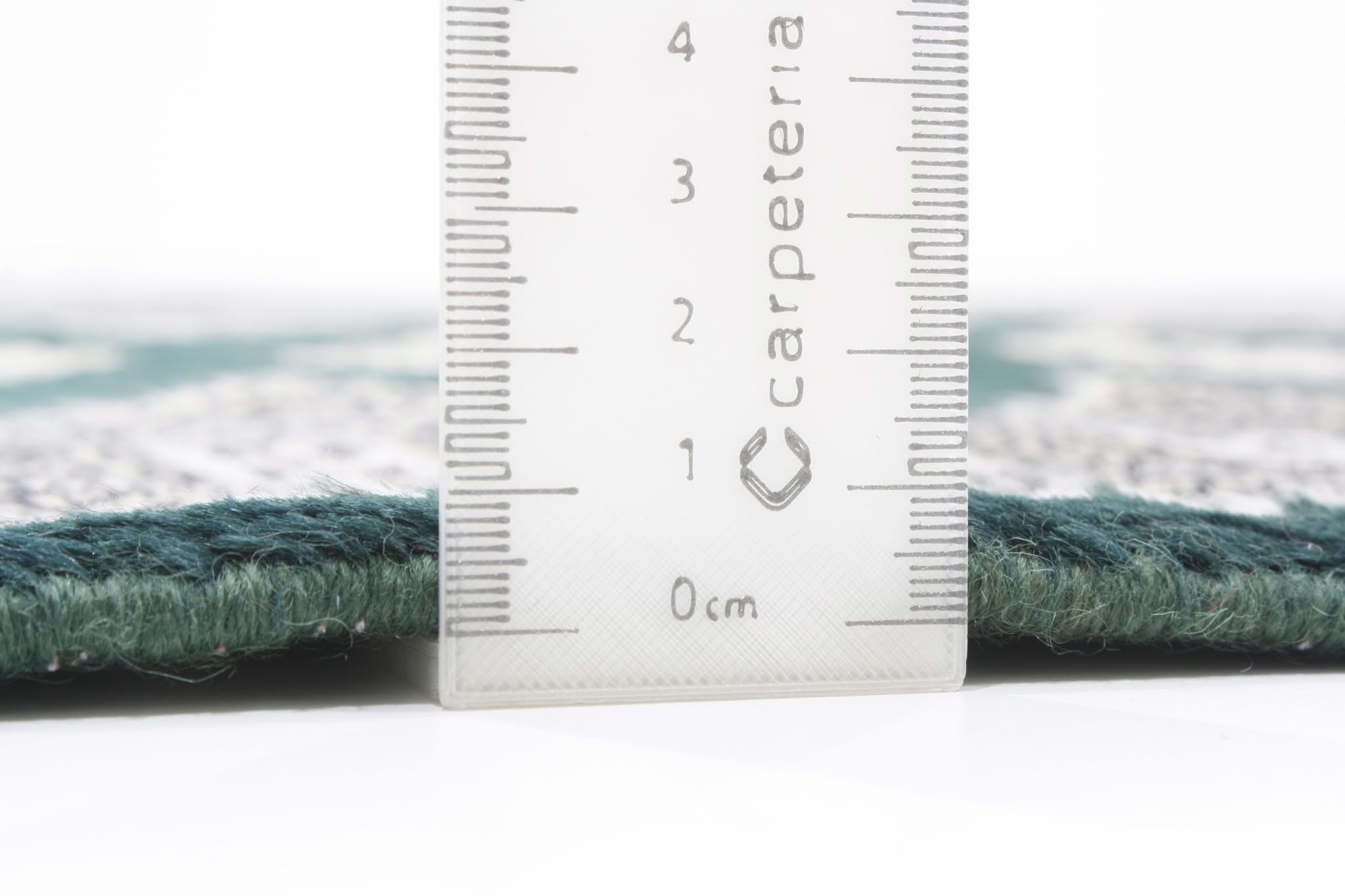 Oriental rug Jaldar Exkluziv