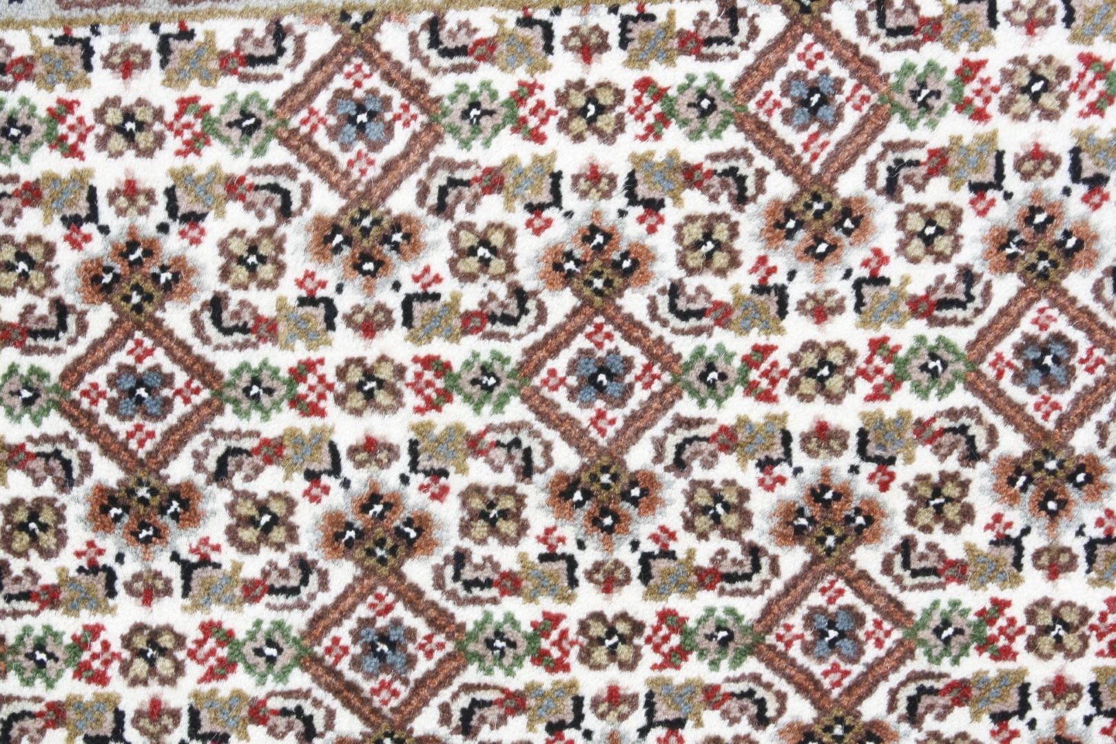 Oriental rug Bidžár Premium