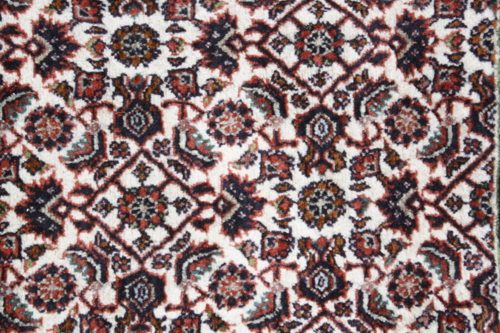 Persian rug Bidžár Exkluziv