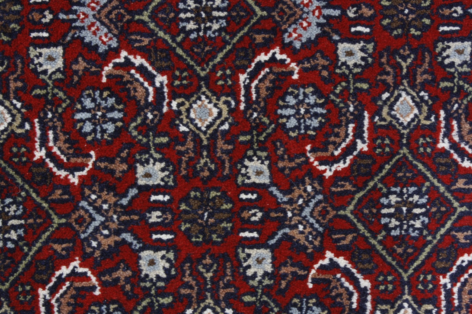 Oriental rug Bidžár Exkluziv