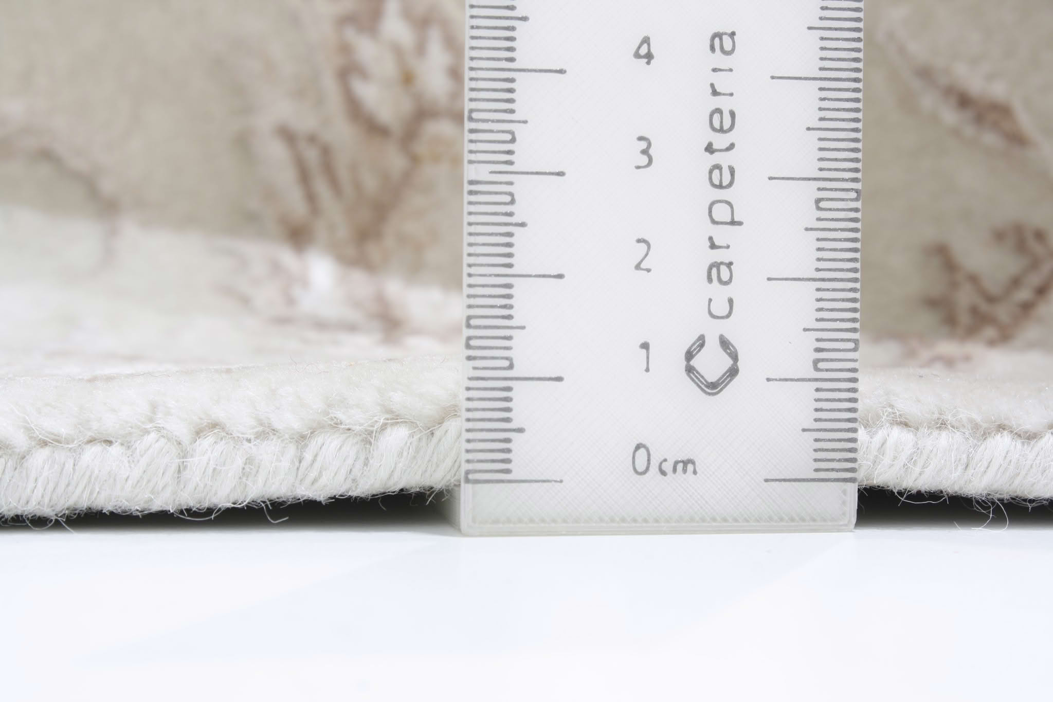 Oriental rug Tabríz Exkluziv